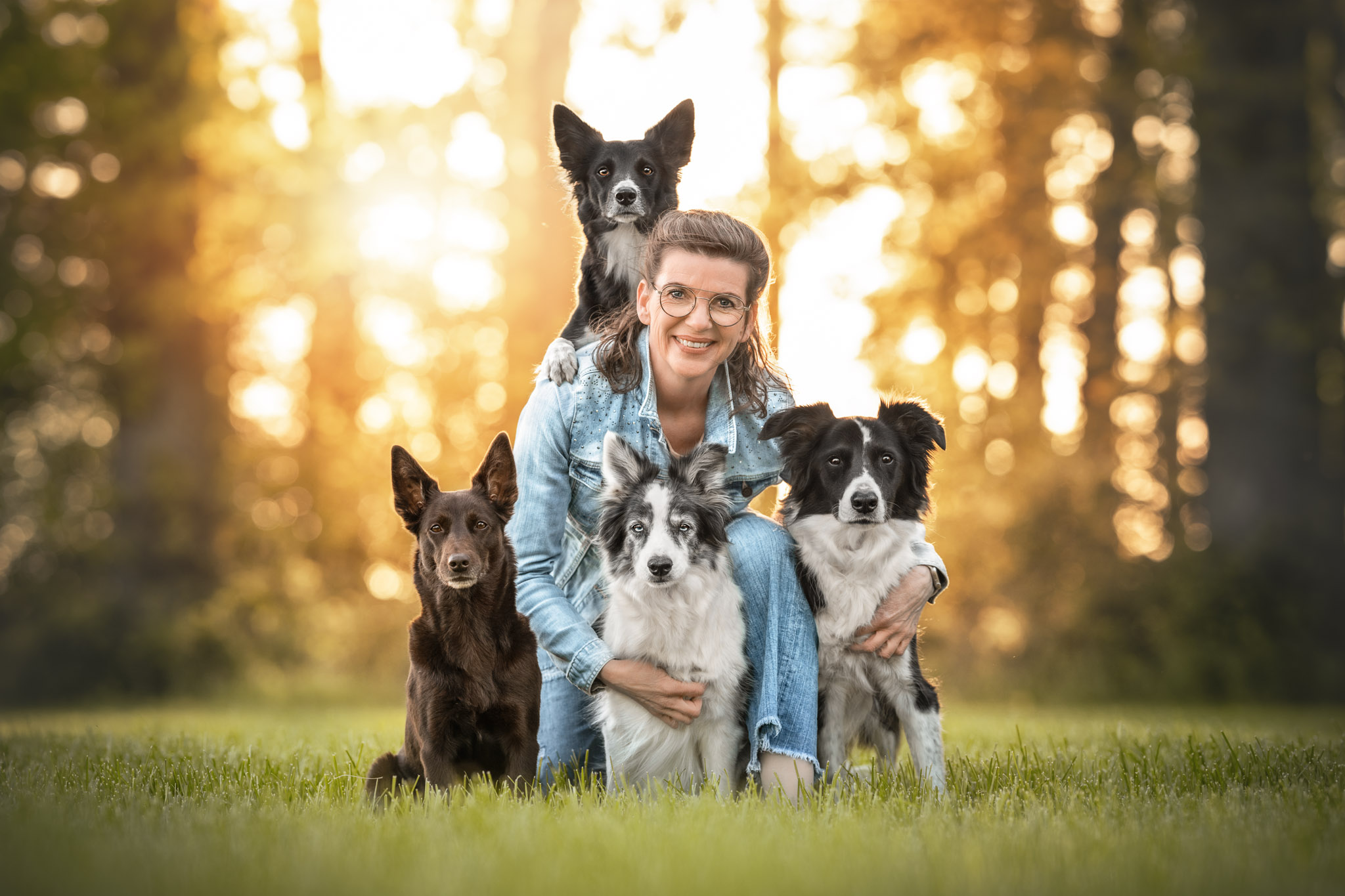 Marion Klaaßen Picture Hundefotografie am Niederrhein und Umgebung